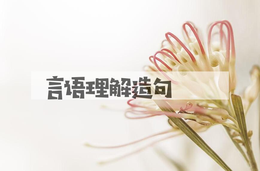 用言语理解造句