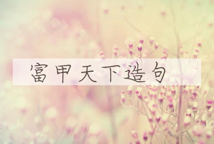 用富甲天下造句