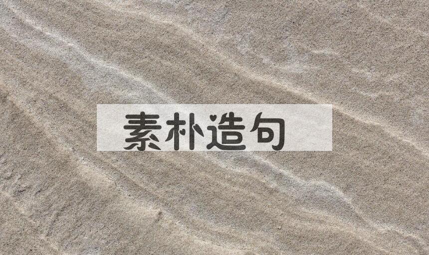 用素朴造句