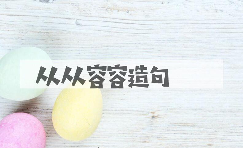 用从从容容造句