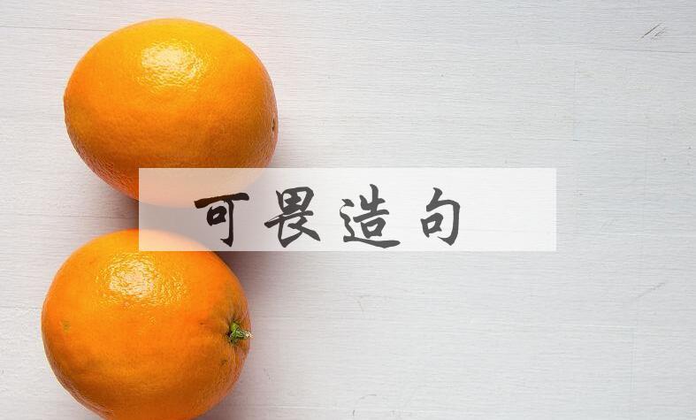 用可畏造句