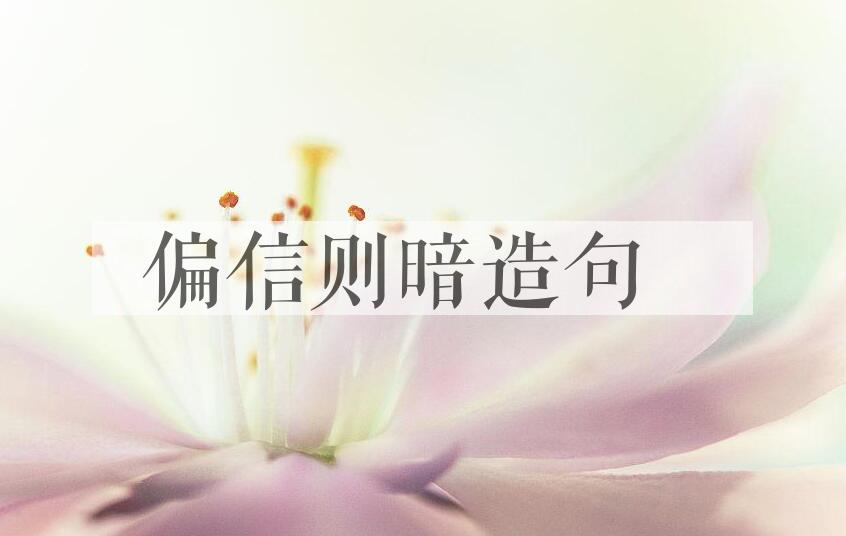 用偏信则暗造句