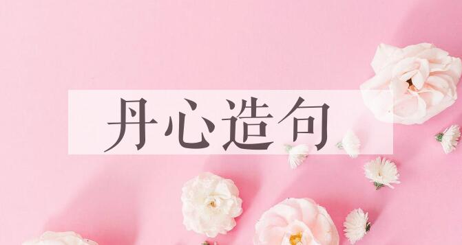 用丹心造句