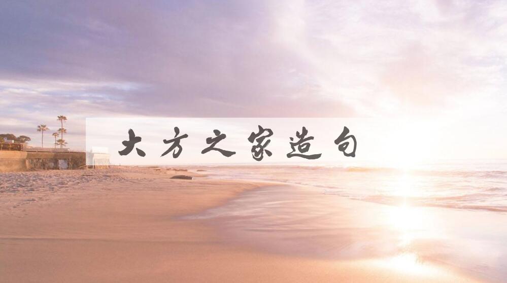 用大方之家造句