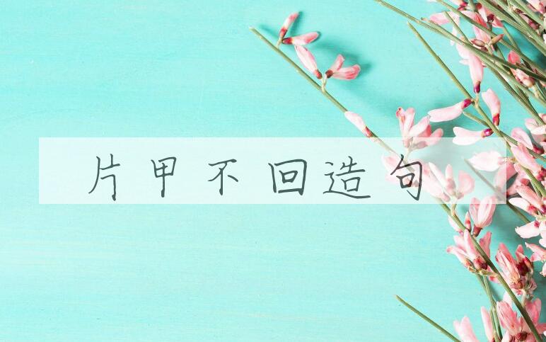 用片甲不回造句