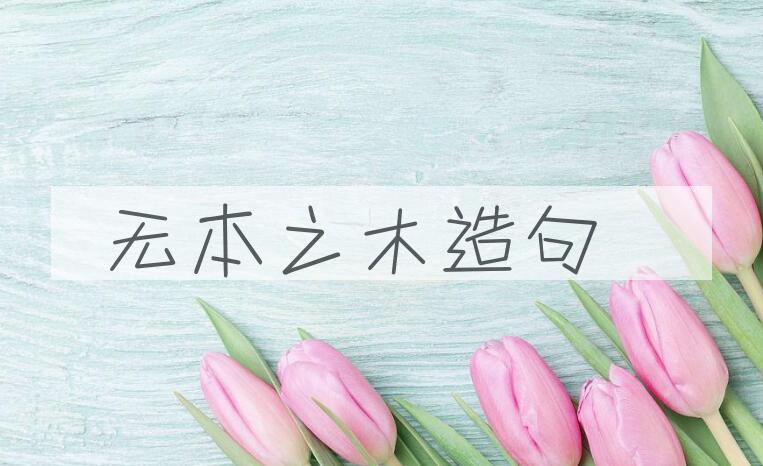 用无本之木造句