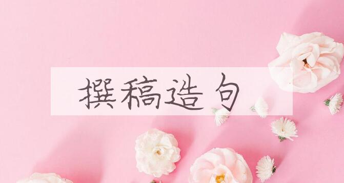 用撰稿造句