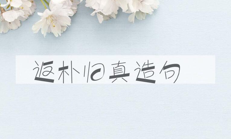 用返朴归真造句