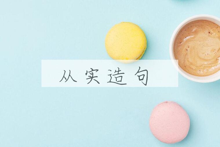 用从实造句