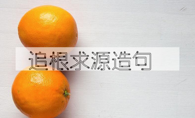 用追根求源造句