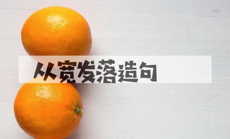 用从宽发落造句