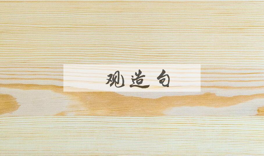 用内观造句
