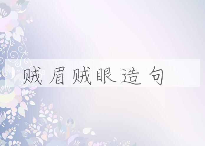 用贼眉贼眼造句
