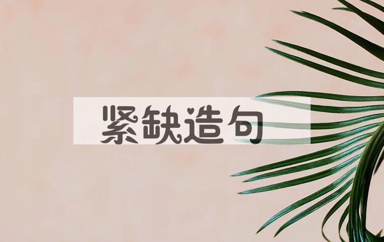 用紧缺造句