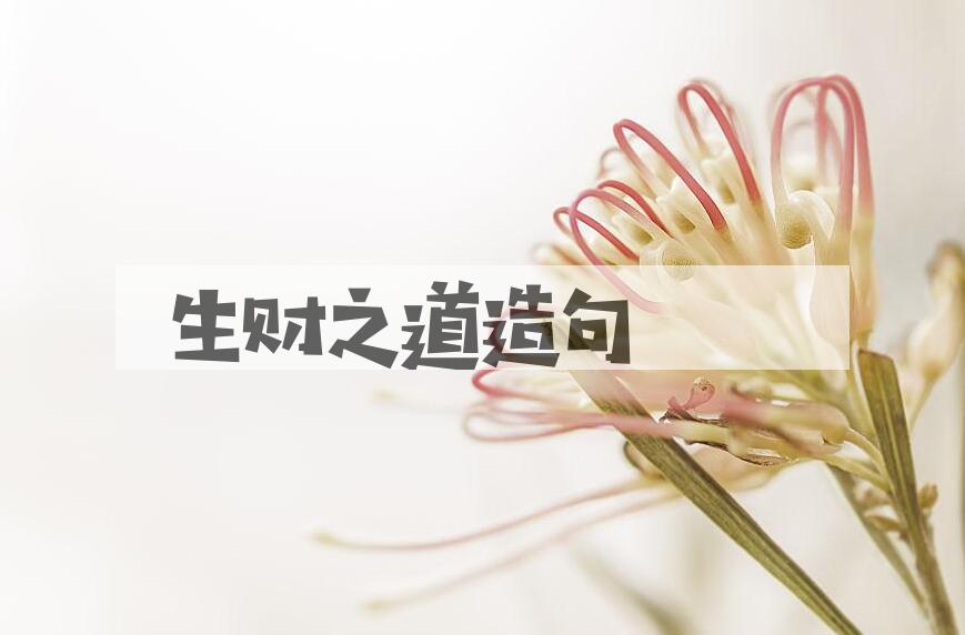 用生财之道造句
