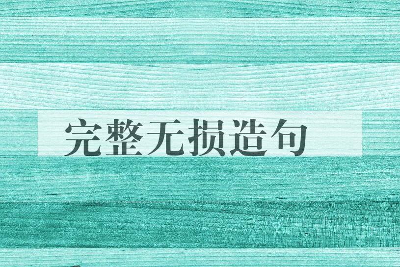 用完整无损造句