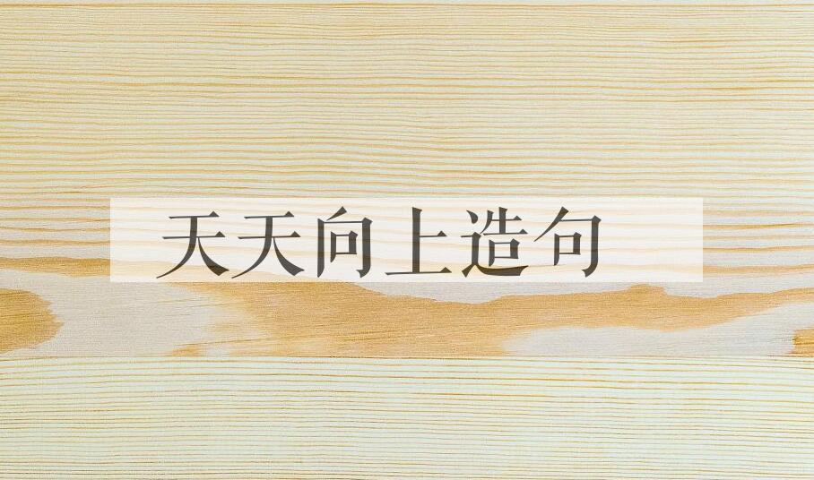 用天天向上造句