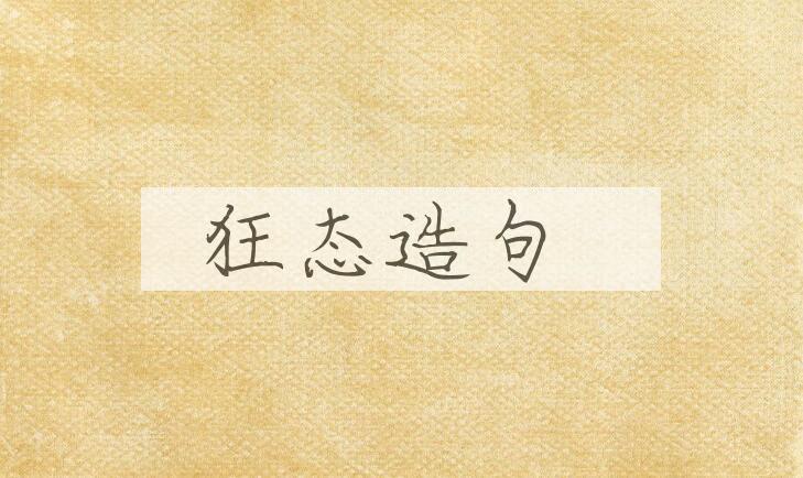 用狂态造句