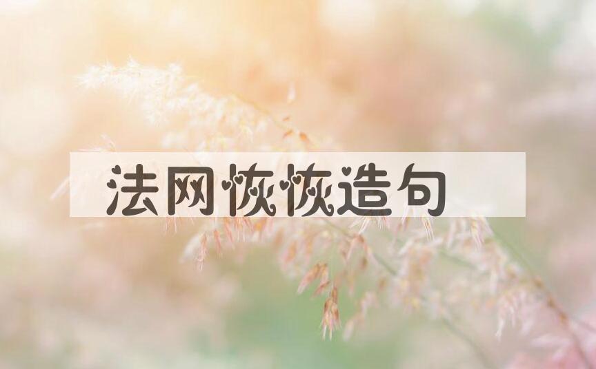 用法网恢恢造句