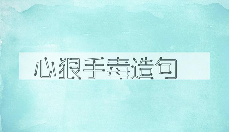 用心狠手毒造句