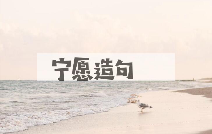 用宁愿造句
