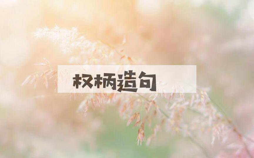 用权柄造句