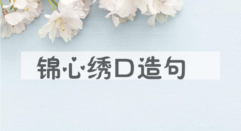用锦心绣口造句
