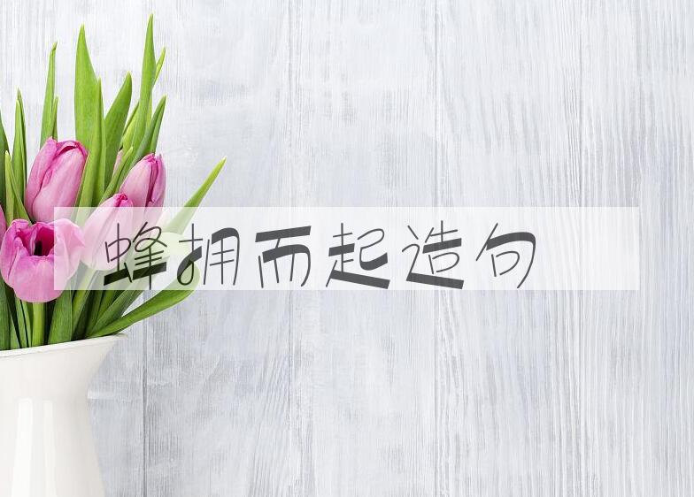 用蜂拥而起造句