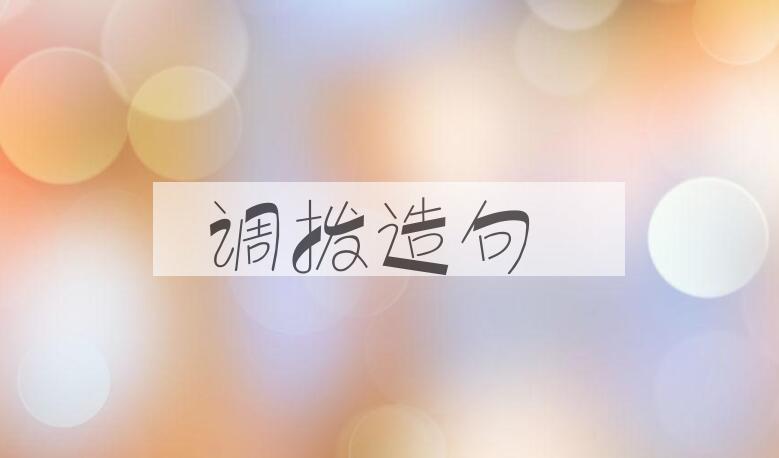 用调拨造句