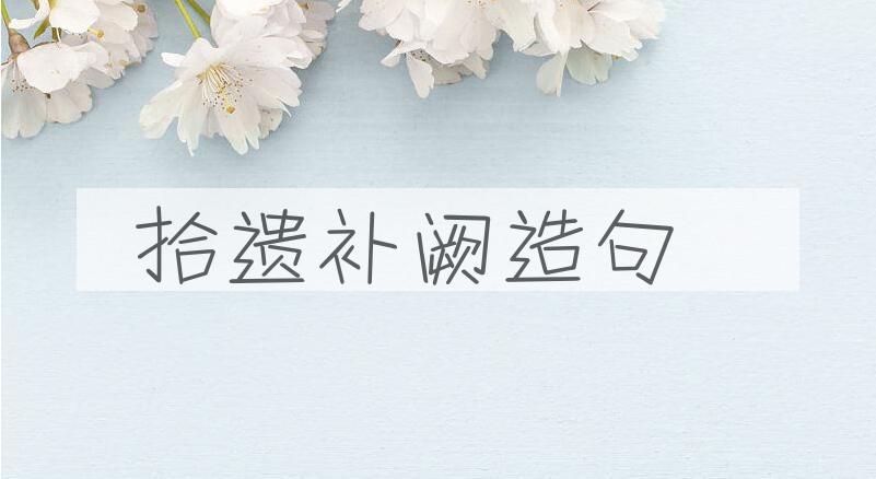 用拾遗补阙造句