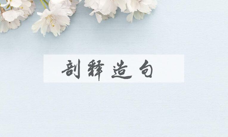 用剖释造句