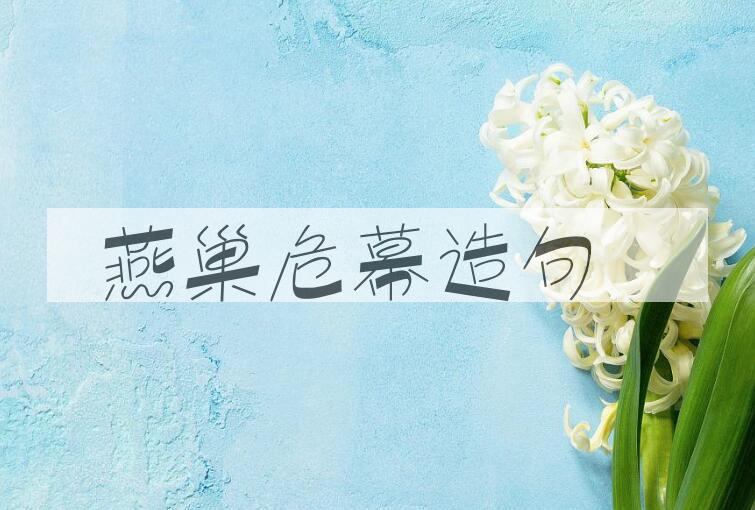 用燕巢危幕造句