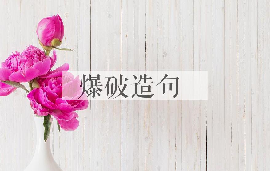 用爆破造句