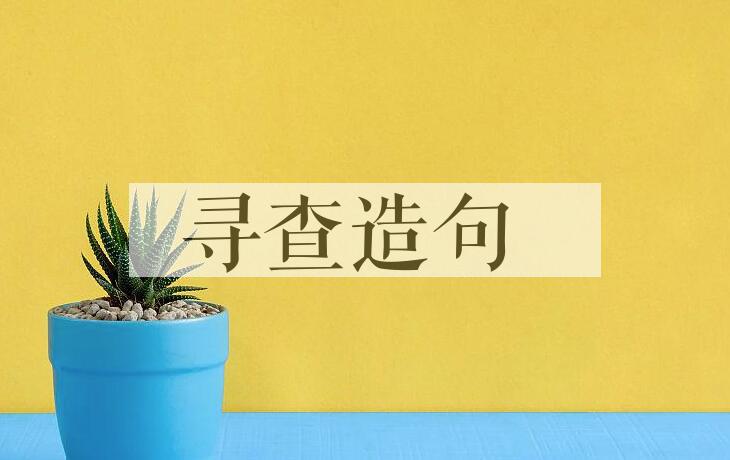 用寻查造句