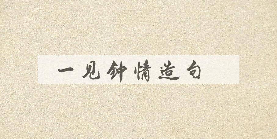 用一见钟情造句