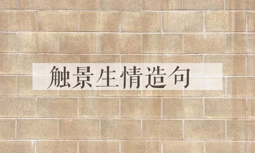 用触景生情造句
