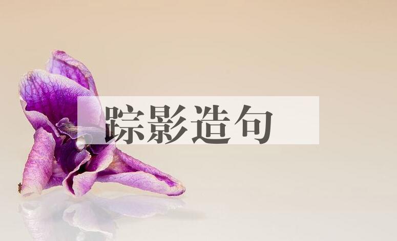用踪影造句