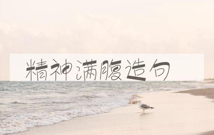 用精神满腹造句