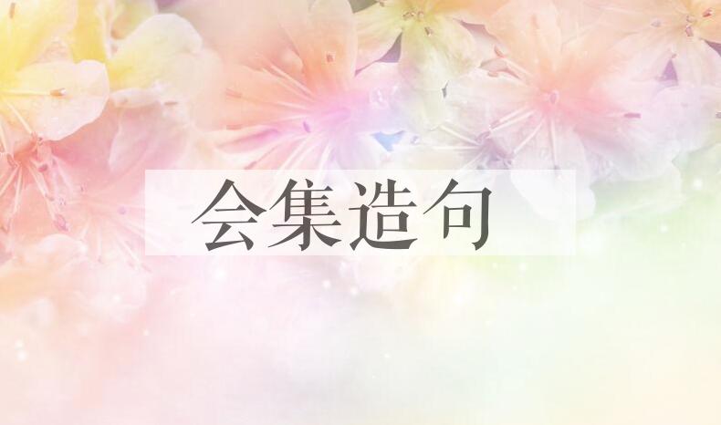 用会集造句