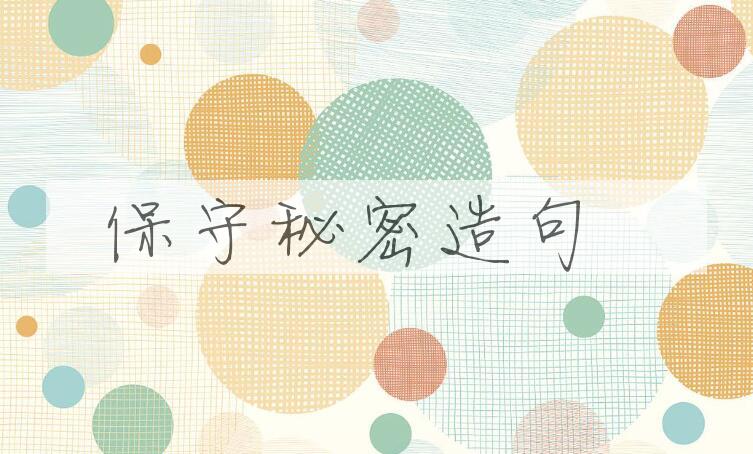 用保守秘密造句