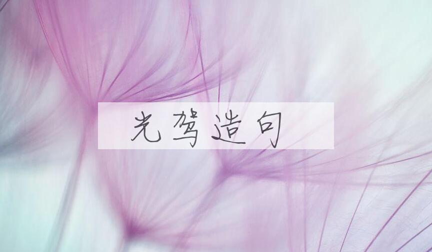 用光驾造句