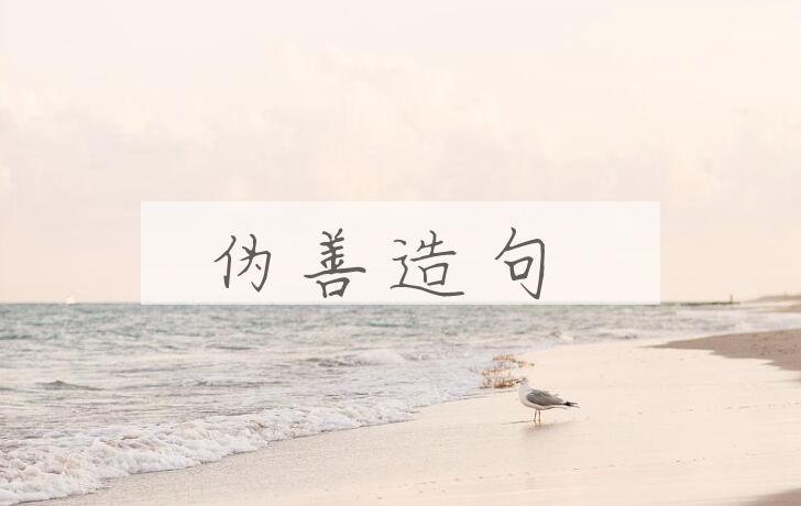 用伪善造句