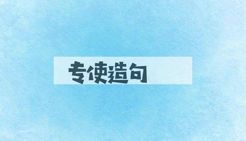 用专使造句