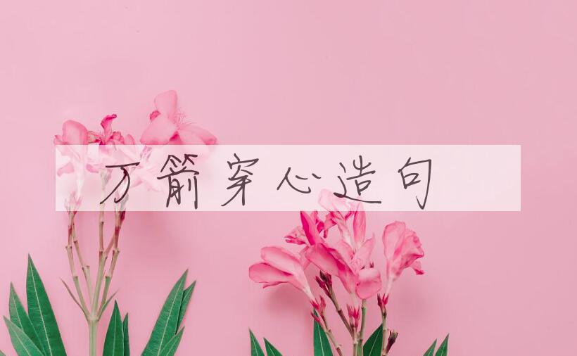用万箭穿心造句
