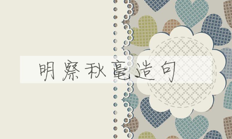 用明察秋毫造句