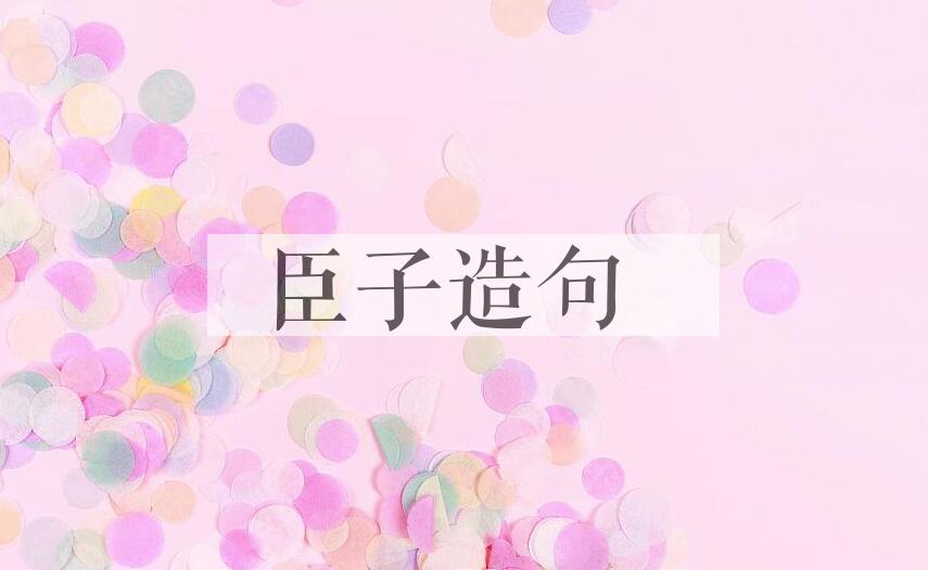 用臣子造句