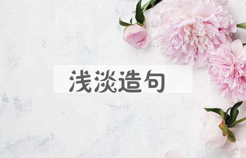 用浅淡造句