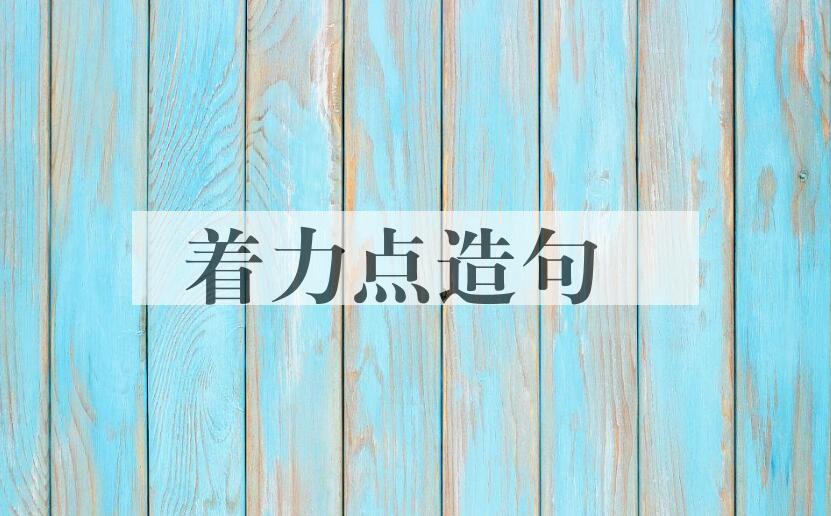 用着力点造句