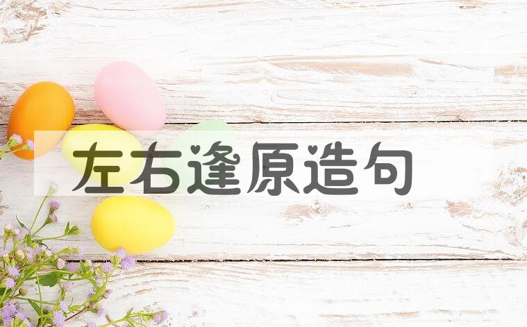 用左右逢原造句