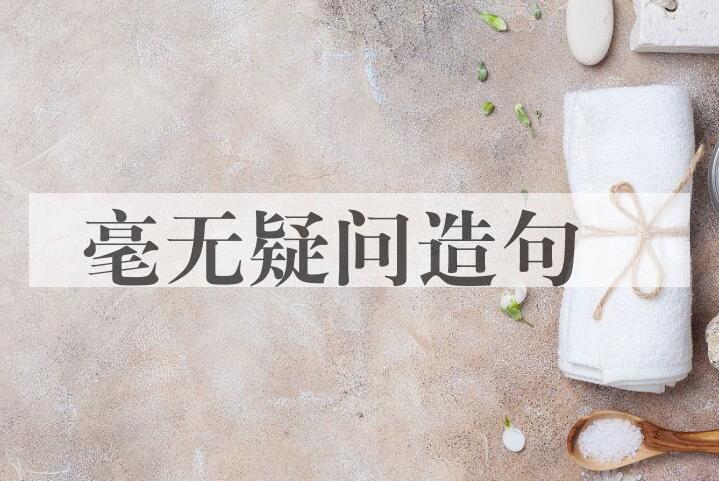 用毫无疑问造句